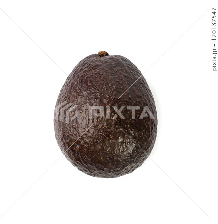 Hass Avocado Isolated, Whole Sharwil Brown Avocados Pile, Fresh Alligator Pear, Persea Americana 120137547