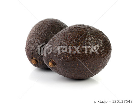 Hass Avocado Isolated, Whole Sharwil Brown Avocados Pile, Fresh Alligator Pear, Persea Americana 120137548