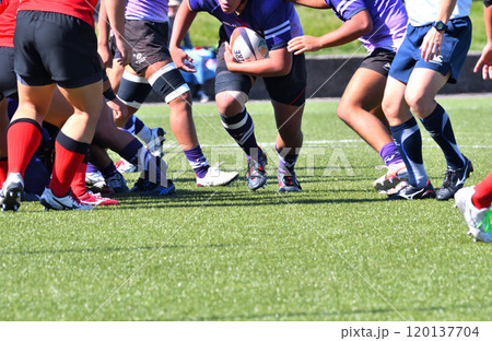 ラグビー、高校ラグビー ラグビー、高校ラグビー 120137704