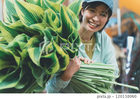ギボウシリーフの出荷作業 120138060