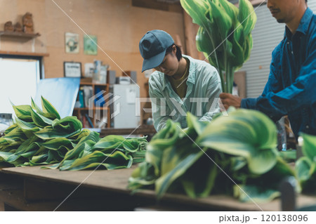 ギボウシリーフの出荷作業 120138096