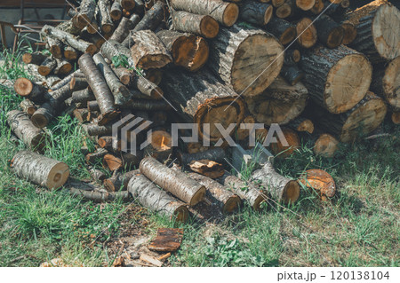 薪づくり 薪づくり 120138104