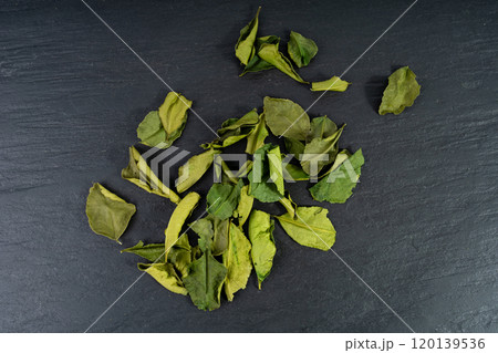 Thai lime dried leaves, makrut lime or Citrus hystrix leaf pile, kaffir lime dry sprouts, Southeast Asia spices Thai lime dried leaves, makrut lime or Citrus hystrix leaf pile, kaffir lime dry sprouts, Southeast Asia spices 120139536