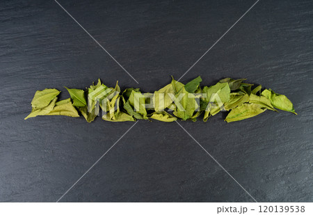 Thai lime dried leaves, makrut lime or Citrus hystrix leaf pile, kaffir lime dry sprouts, Southeast Asia spices Thai lime dried leaves, makrut lime or Citrus hystrix leaf pile, kaffir lime dry sprouts, Southeast Asia spices 120139538