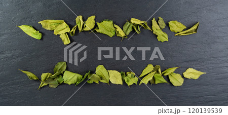 Thai lime dried leaves, makrut lime or Citrus hystrix leaf pile, kaffir lime dry sprouts, Southeast Asia spices 120139539