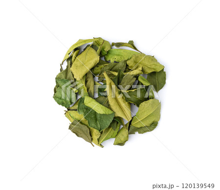 Thai lime dried leaves isolated, makrut lime or Citrus hystrix leaf pile, kaffir lime dry sprouts, Asia spices Thai lime dried leaves isolated, makrut lime or Citrus hystrix leaf pile, kaffir lime dry sprouts, Asia spices 120139549