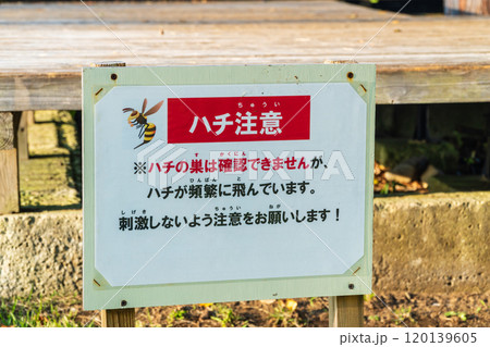 ハチ注意の看板 ハチ注意の看板 120139605