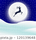 Reindeer silhouette the background of the moon  120139648