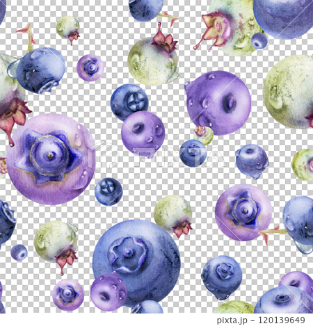 Blueberry blackberry, hand drawn in watercolor, group of flying ripe forest berry with drops, blue and purple. Seamless isolated pattern illustration. Restaurant, cafe menu, wedding, farmers market 120139649