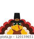 Turkey funny thanksgiving on white background  120139651