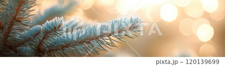 Christmas tree branch on bokeh blurred background 120139699