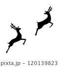 Reindeer silhouette isolated on white background  120139823