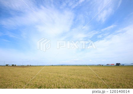 秋の田園風景（北海道雨竜郡妹背牛町） 120140014