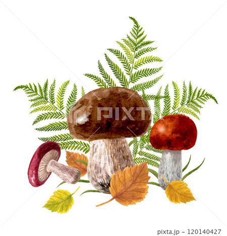 Mushrooms and leaves watercolor composition Mushrooms and leaves watercolor composition 120140427