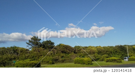 稲毛海浜公園の青い空と白い雲 120141418