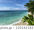 南国の美しいビーチとエメラルドグリーンの海 120142183