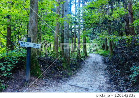 Nakasendo Trail in Japan 120142838