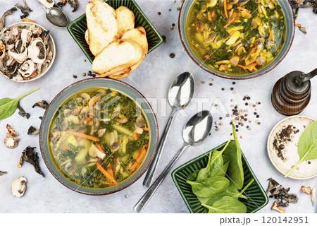 Vegan protein soup. Vegan protein soup. 120142951