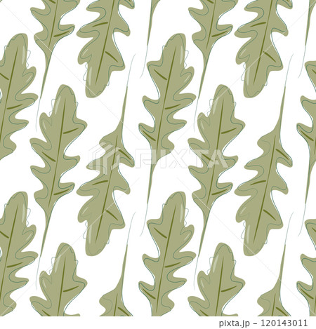 Abstract Arugula leaves with fill not along contour Seamless pattern. Healthy Food backdrop concept Abstract Arugula leaves with fill not along contour Seamless pattern. Healthy Food backdrop concept 120143011