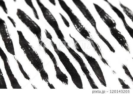 Thick Ink Pen Black Lines on White Background Zebra Skin Barcode Shapes Thick Ink Pen Black Lines on White Background Zebra Skin Barcode Shapes 120143203