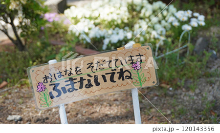 花壇に表示された手書きの注意書き 花壇に表示された手書きの注意書き 120143356