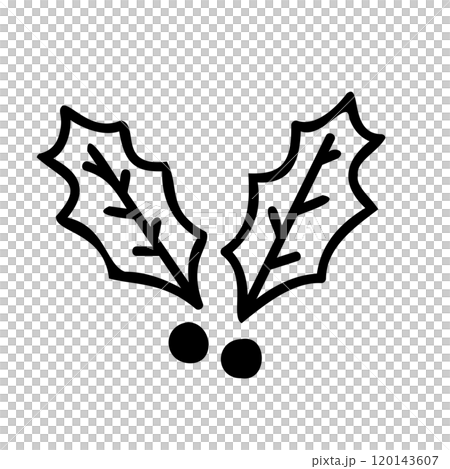 手繪冬青圖示。 120143607