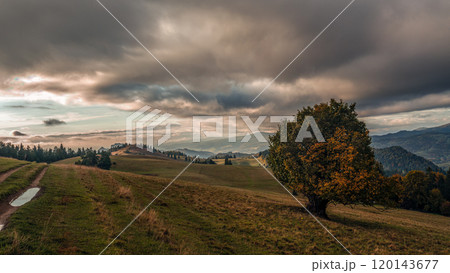 Serene mountain landscape with Lone Tree Under Dramatic Sky 120143677