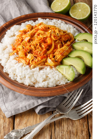 Chicken Tinga shredded and cooked with onion, garlic, tomatoes and chipotle peppers served with rice and avocado closeup in plate. Vertical 120143770