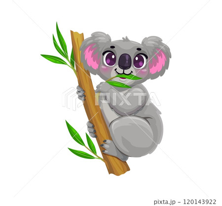 Cartoon cute koala bear character sitting on eucalyptus branch, vector funny Australian animal. Happy smiling koala with shy look eating eucalyptus leaf, cheerful animal for kid illustration Cartoon cute koala bear character sitting on eucalyptus branch, vector funny Australian animal. Happy smiling koala with shy look eating eucalyptus leaf, cheerful animal for kid illustration 120143922