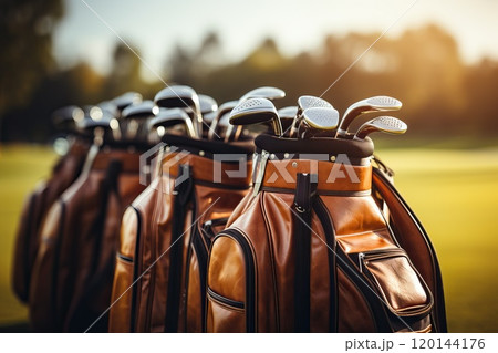Golf club in a special bag. 120144176
