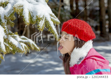 枝から垂れ下がったつららを舐める女の子 120144433
