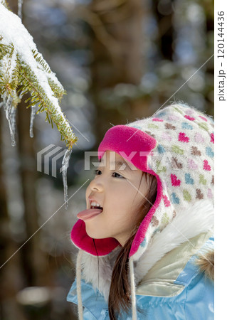 枝から垂れ下がったつららを舐める女の子 120144436