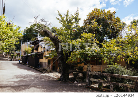 Philosopher's Walk in Kyoto Japan Philosopher's Walk in Kyoto Japan 120144934