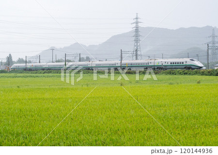 【山形線】雨の田園風景を走行する山形新幹線つばさ 120144936