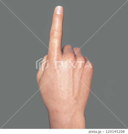 British, Australian and New Zealand Sign Language BANZSL sign number 1 120145206