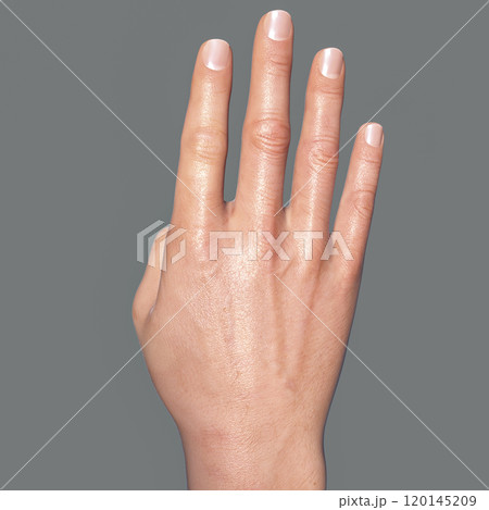 British, Australian and New Zealand Sign Language BANZSL sign number 4 120145209