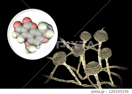 Aflatoxin B1 molecule, a toxin produced by fungi Aspergillus Aflatoxin B1 molecule, a toxin produced by fungi Aspergillus 120145256