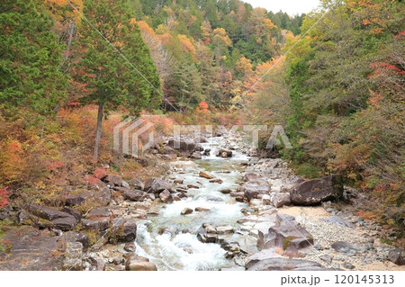 【姫宮神社】姫宮橋【赤沢自然休養林】 【姫宮神社】姫宮橋【赤沢自然休養林】 120145313