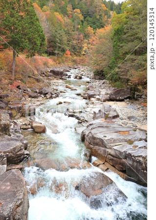 【姫宮神社】姫宮橋【赤沢自然休養林】 120145314