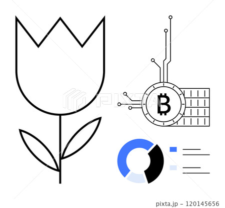 Simplified black and white digital illustration with a tulip flower, a Bitcoin symbol connected with digital lines, and a pie chart. Ideal for financial growth, cryptocurrency, investments, market 120145656