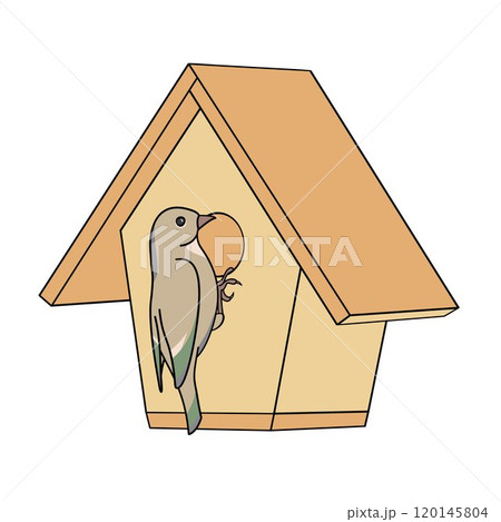 Wooden wildlife birdhouse and bird Wooden wildlife birdhouse and bird 120145804