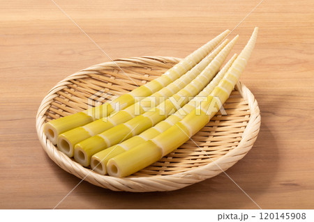 ［高知県産］　四方竹 120145908