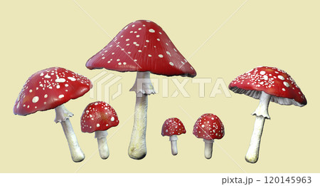 Fly agaric mushroom with red cap and white dots, Amanita mushroom, illustration Fly agaric mushroom with red cap and white dots, Amanita mushroom, illustration 120145963