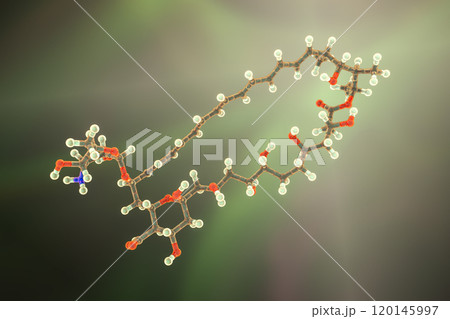 Amphotericin B antifungal drug molecule, 3D illustration 120145997