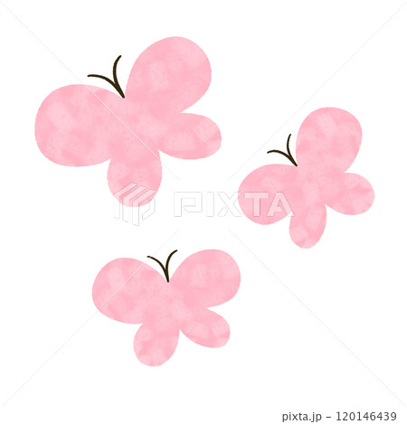 手描き 3頭のピンクのちょうちょのイラスト 手描き 3頭のピンクのちょうちょのイラスト 120146439