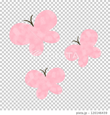 手描き 3頭のピンクのちょうちょのイラスト 手描き 3頭のピンクのちょうちょのイラスト 120146439