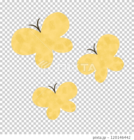 手描き　3頭の黄色いちょうちょのイラスト 120146442