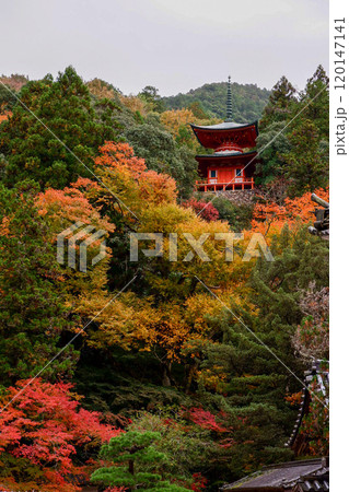 佛通寺 多宝塔 紅葉 120147141