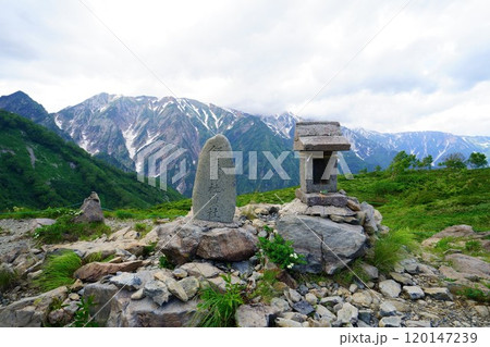 夏の白馬、八方尾根でトレッキング03 120147239