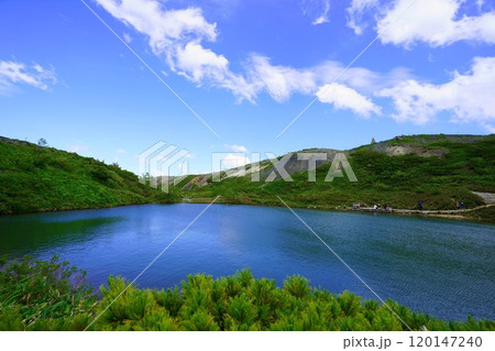 夏の白馬、八方尾根でトレッキング14 120147240